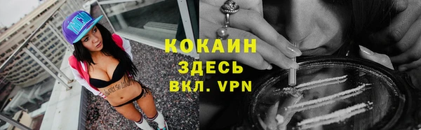 гидропоника Бородино
