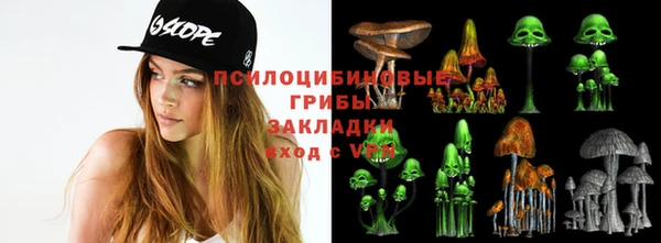 гидропоника Бородино