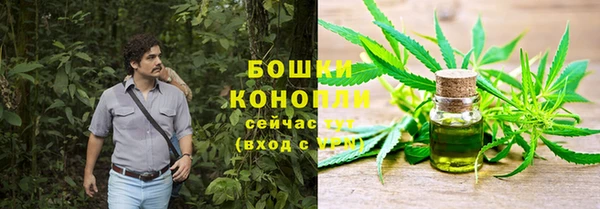 гидропоника Бородино