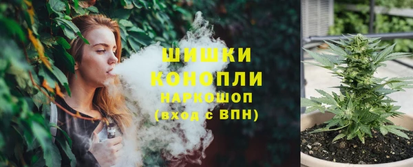 гидропоника Бородино